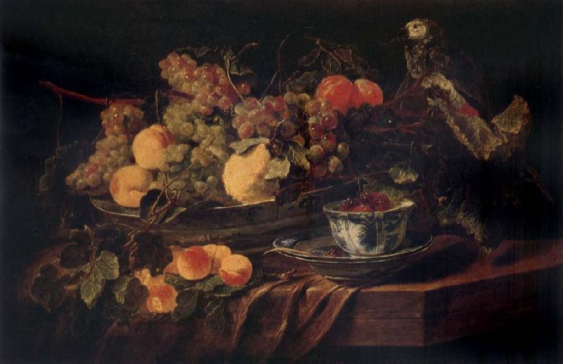 Jan  Fyt Fruit and a Parrot Germany oil painting art